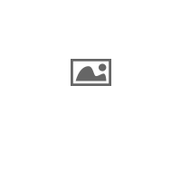 Corporate style