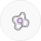 ag