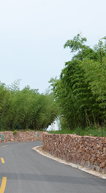 青山竹海