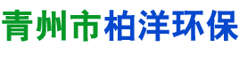 柏洋logo